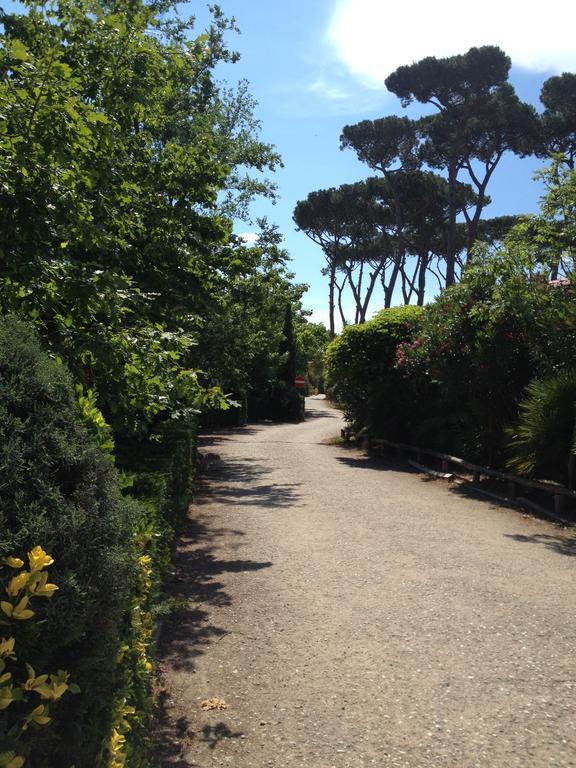 Camping Paradiso Viareggio Bagian luar foto