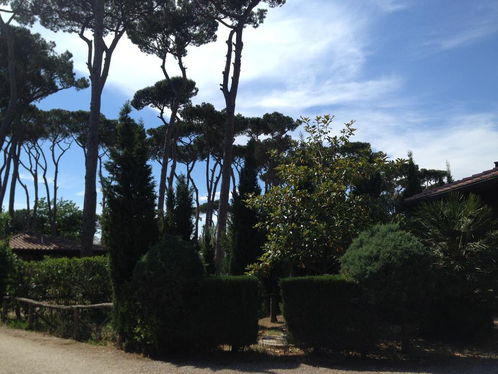 Camping Paradiso Viareggio Bagian luar foto