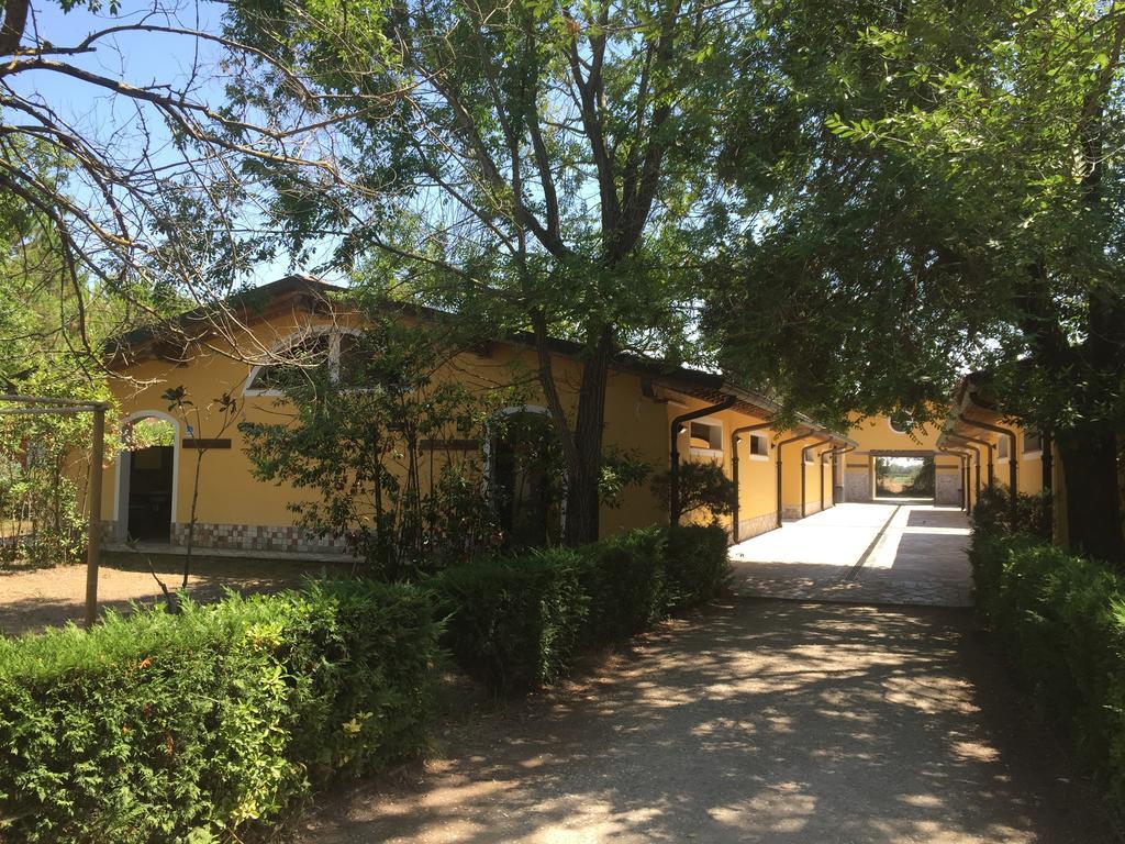 Camping Paradiso Viareggio Bagian luar foto