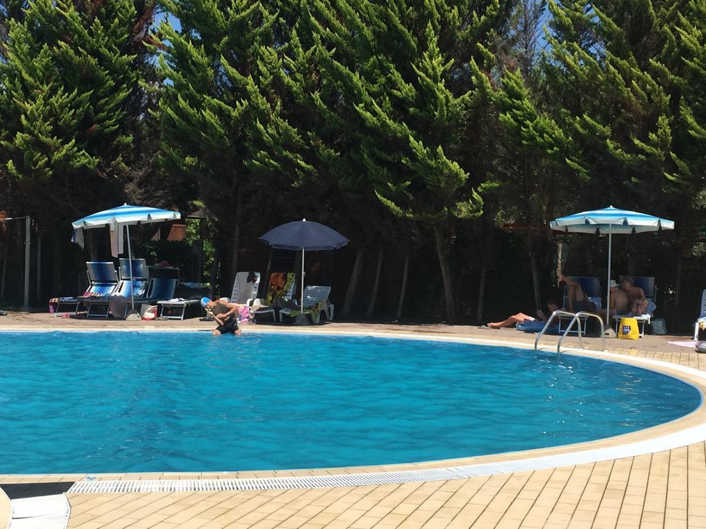 Camping Paradiso Viareggio Bagian luar foto