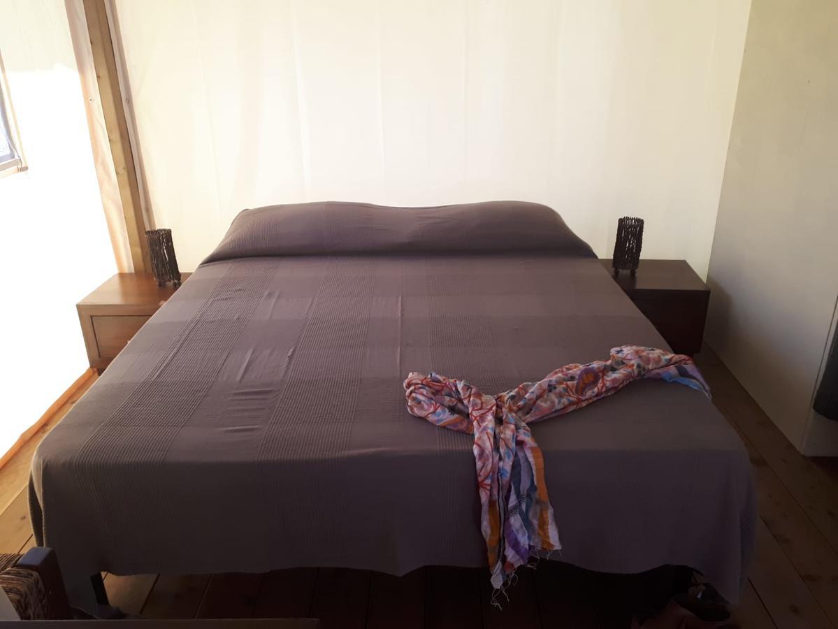 Camping Paradiso Viareggio Bagian luar foto